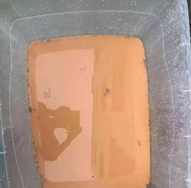 被乌龟咬住怎么办