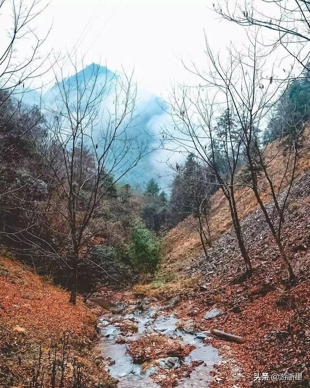 中国“最美高铁路线”来了！