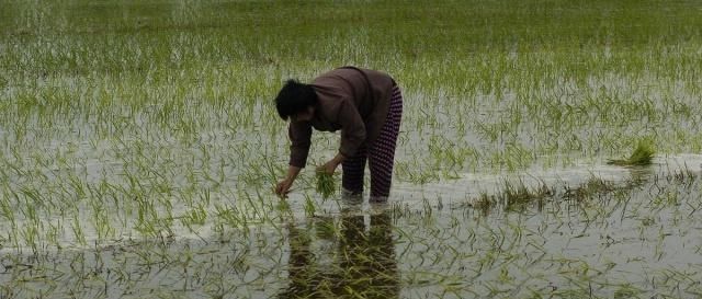  十年|未来十年农村什么最值钱？