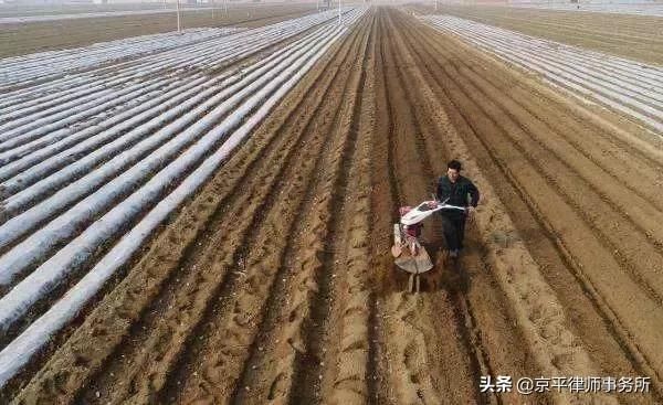 重大通知：要缴纳耕地占用税了!你知道你要交多少钱吗?