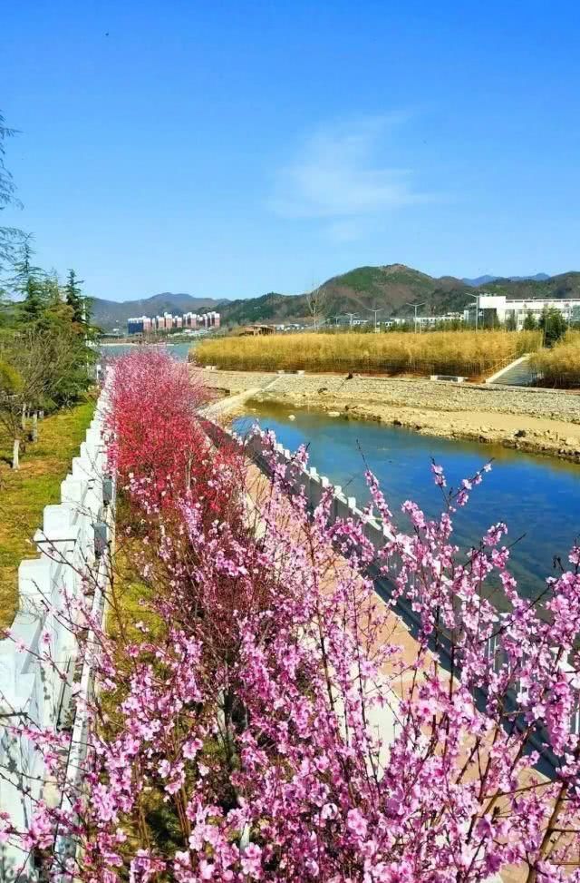  【开春】自由呼吸，花开春醒季