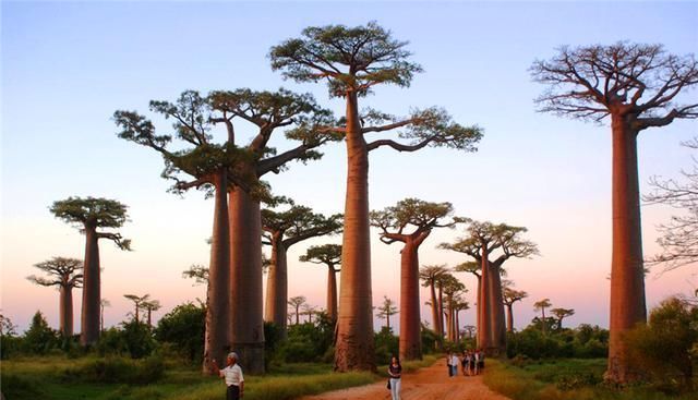 世界上最穷的国度:一般人都不敢去，中国商人却靠摆地摊年赚百万