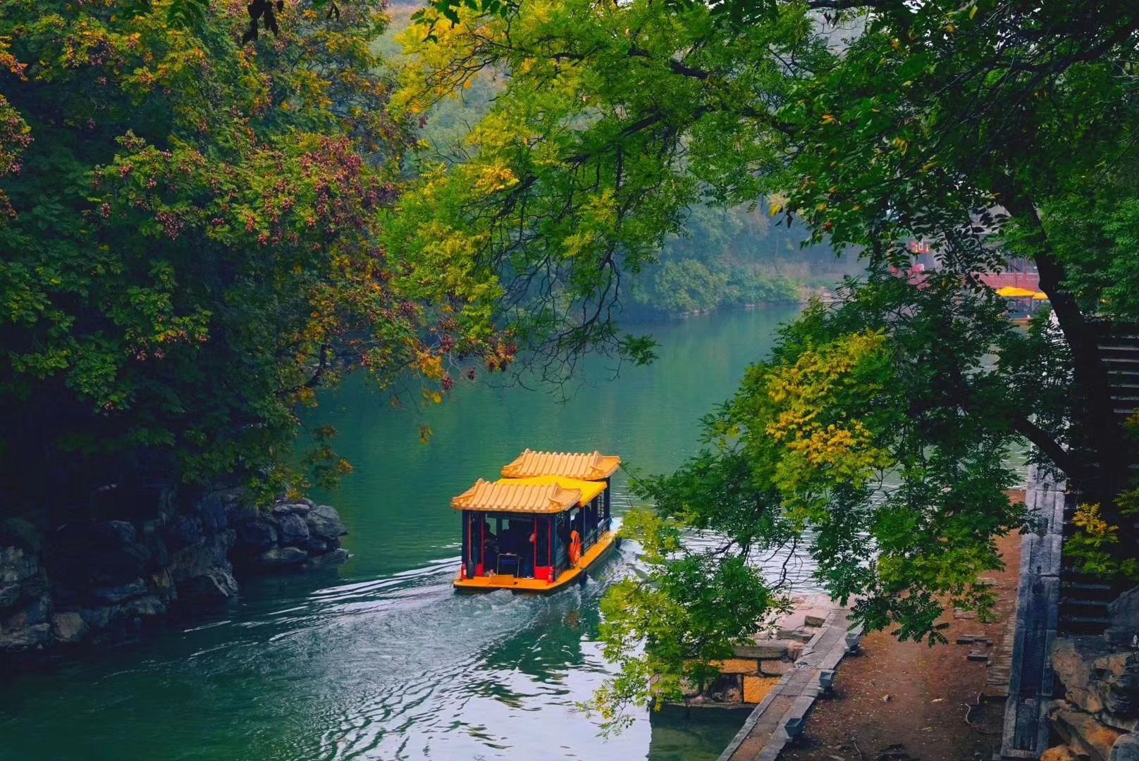 白蜡银杏、芦苇残荷，北京市属公园20处秋景本周可赏