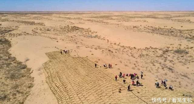 中国人发明的草方格,成功解决沙漠荒漠化,如今成为治沙史上奇迹