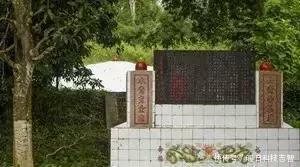  祖国■60多年前，一中国人冒生命危险将种子带回祖国，造就中国