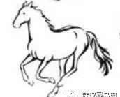  打造■全力打造奥运级别马术中心！