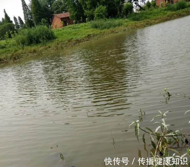 『溶氧量』不喜欢在下雨天钓鱼别怪我没提醒你,下雨天等于“爆护天”