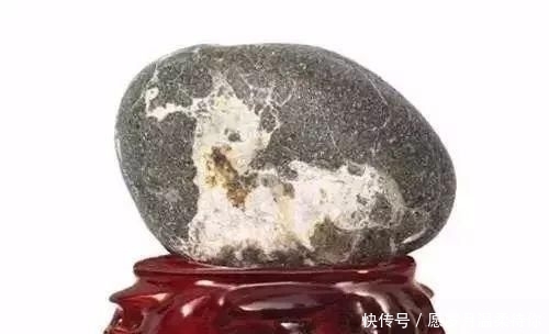  #戈壁玛瑙#奇石绵羊卖了450万！这14只羊不服了