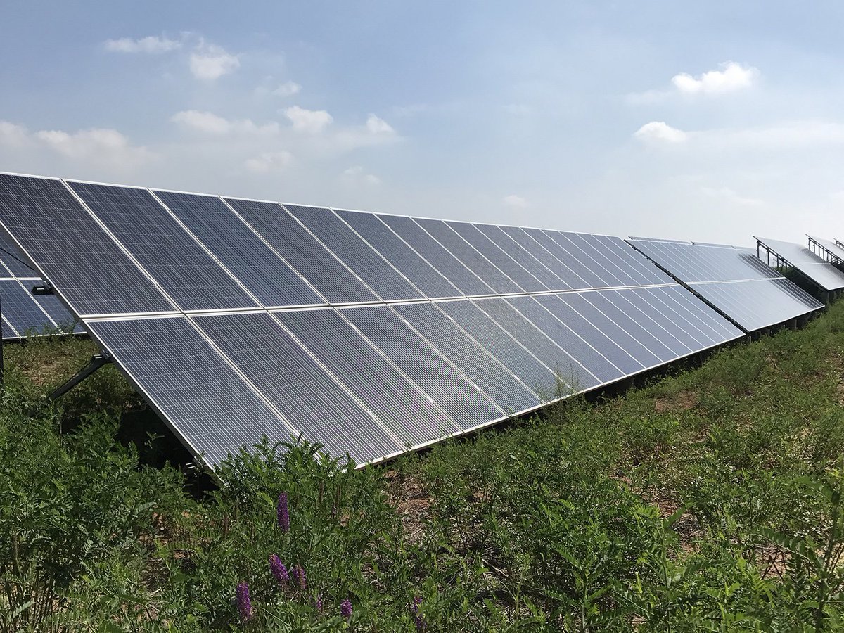 中国式奇迹：村民在电站养鸡羊，比上海大3倍的沙漠1/3变成绿洲