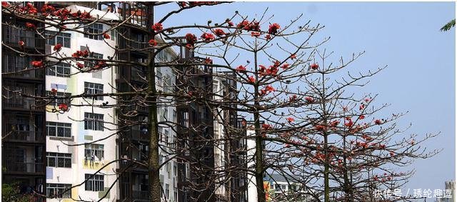 广东最穷的城市和贵州最穷的城市, 对比结果, 很多人都想不到!