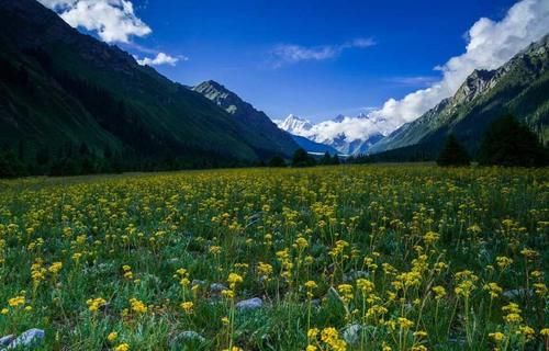 不想买门票，只想免费看风景？国内还真有几条超便宜的旅游路线！