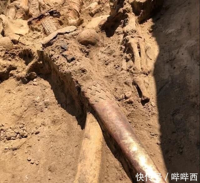  『盗墓贼』盗墓贼洗劫大墓后，留下一条锈铁杆，被专家讥讽“有眼无珠”