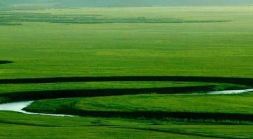  「树木」为什么大草原上的“草”长得很茂盛，却很少看见长树的