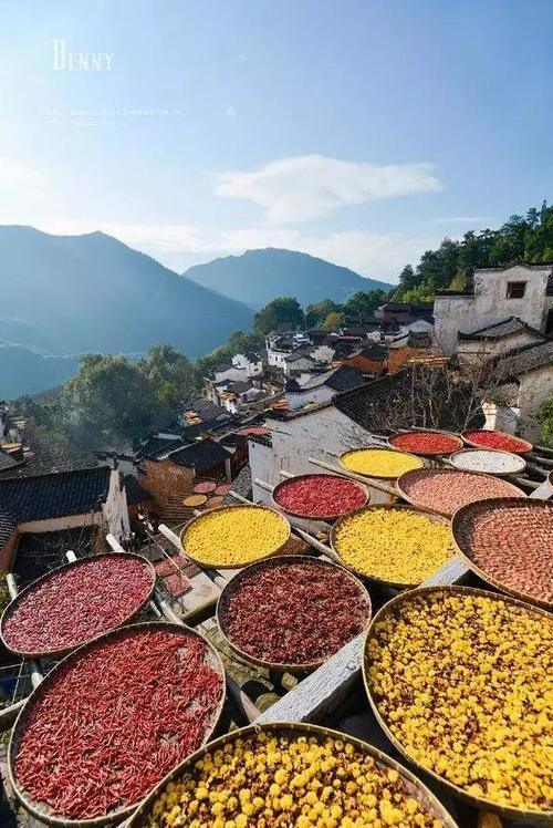 10月，我把时间留给婺源