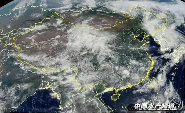 要热到40-45℃？！高温热害席卷22省