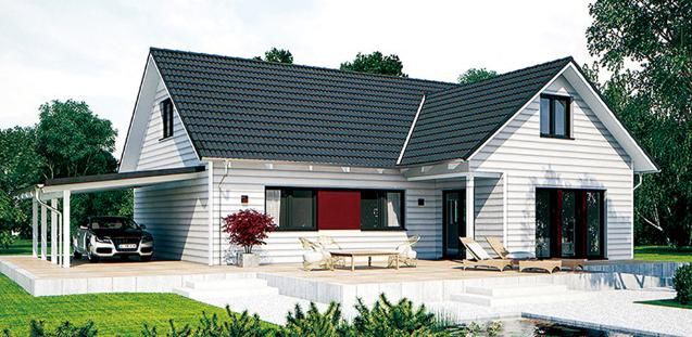 三款平价一层别墅，十三万起价，撑起农村的场子