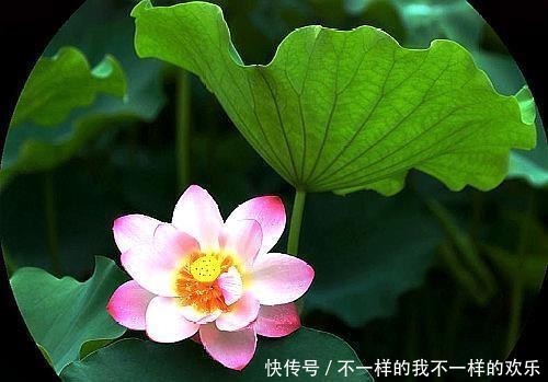  仄仄仄平平@一帘幽梦念往事，四季情思意阑珊；孤馆深沉夜，心事向谁言