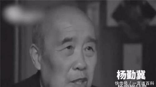 #杨勤冀#13年前,为见刘德华一面,逼得父亲跳海的杨丽娟,如今过得怎样!