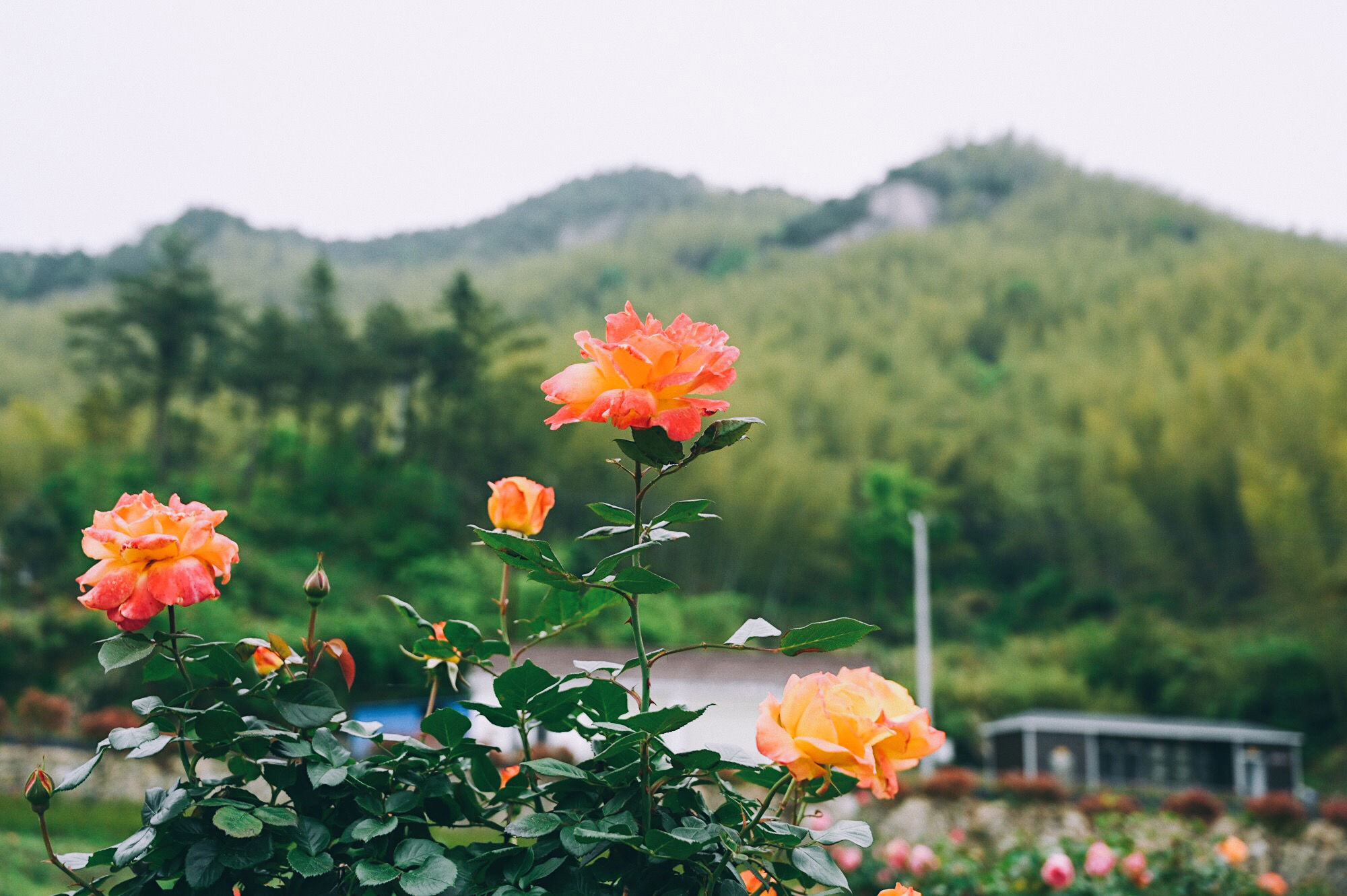 走进北纬30°的天柱山，一处风光秀丽又神秘的地方