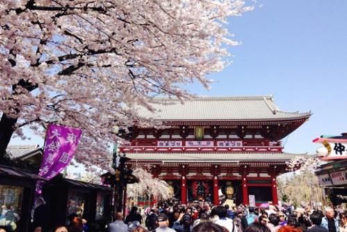 1万人民币换成16万日元，在日本能干什么？日本小姐姐告诉你！