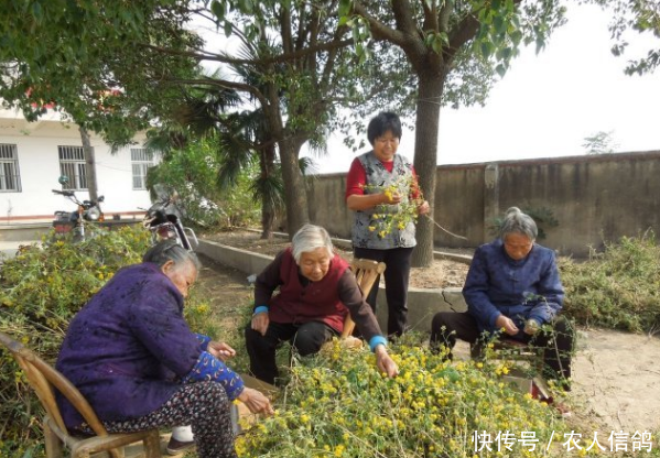  #老人#农村老人越来越多，养老是家庭养好，还是送养老院？
