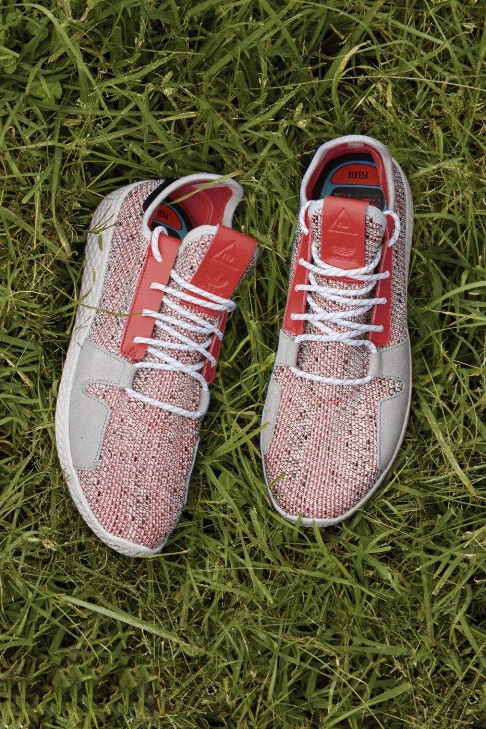 市场价已经涨到 ￥2600!菲董联名狂野非洲系列即将发售