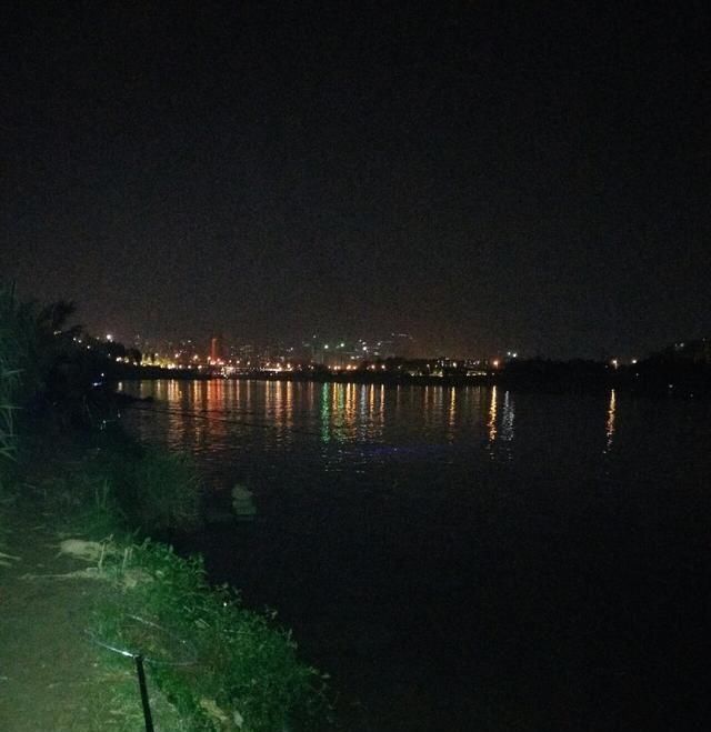  【时间】话说这个季节钓鲤鱼也要逗钓吗？钓友怎么看