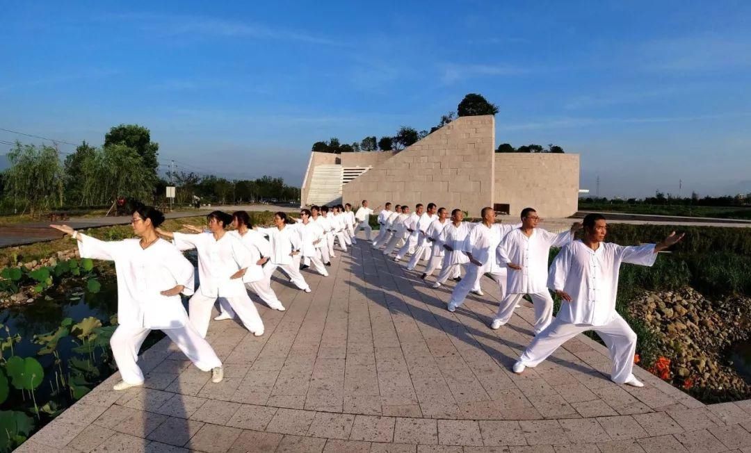  「表白」茶香松阳| 此刻，只想收下这份乡愁，表白这条长河