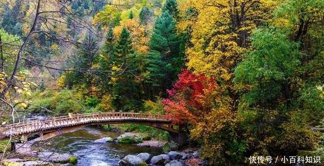 堪比九寨沟！东北大山中暗藏的世界级美景，可惜只有本地人知道