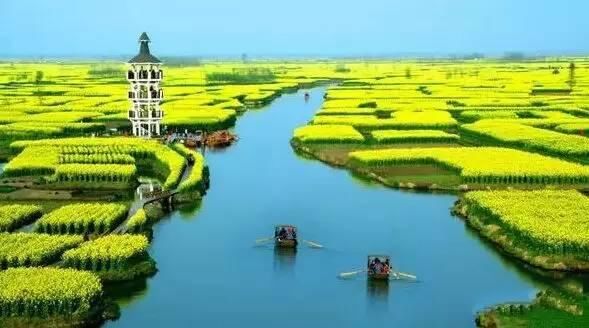最江南的花海：惊艳不输婺源，情调不输威尼斯