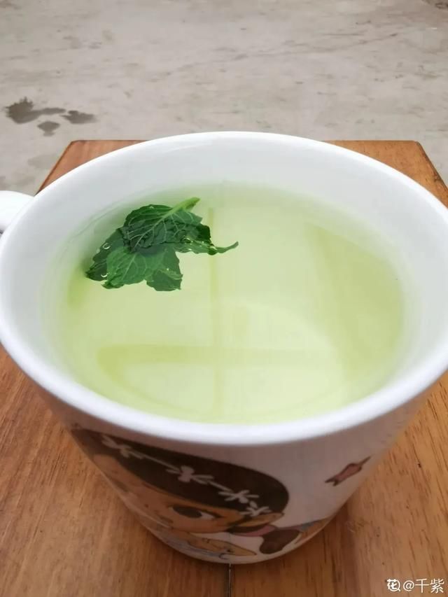  『薄荷的叶片』薄荷养厨房，掐一把就能做菜吃，越晒太阳越爆盆！