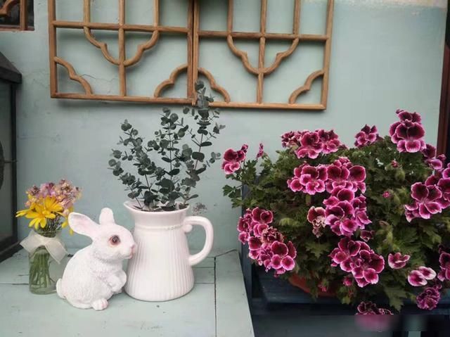 顶芽:这花就是欠“掐”,把顶芽掐掉,掐得越狠,开花越多