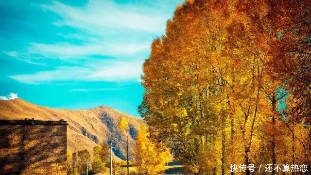 秋季最美的川西:给最爱美的你