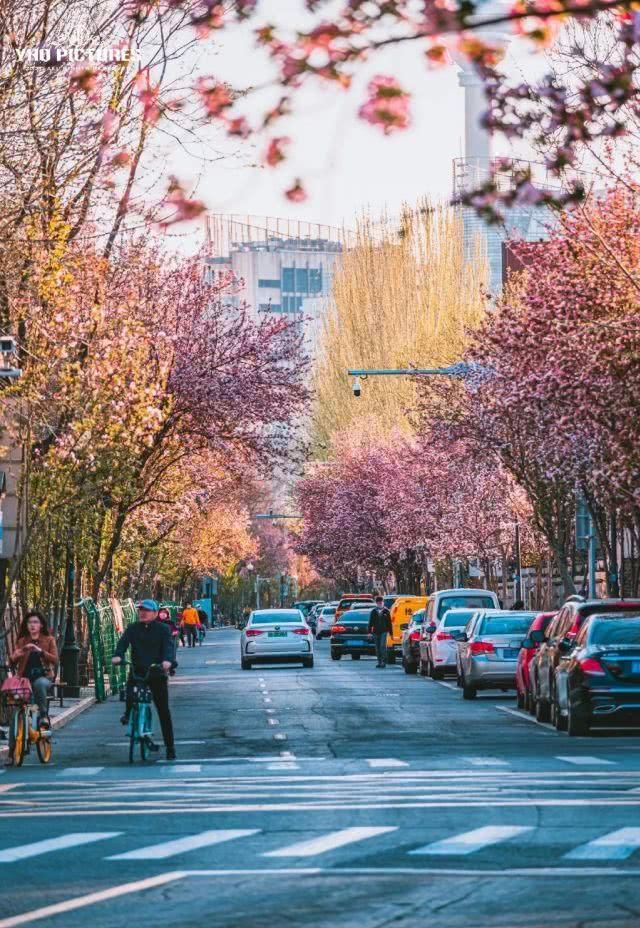  「重启」不能重启的2020，接下来的日子在天津要这样过！