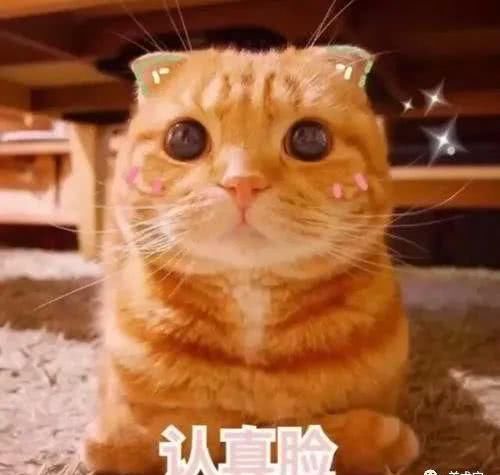 「 千万别」这些“艺考谣言”千万别信！，辟谣！2020艺考生注意