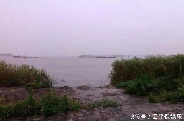  不折不扣：垂钓长江边，不折不扣的当了回“白条杀手”