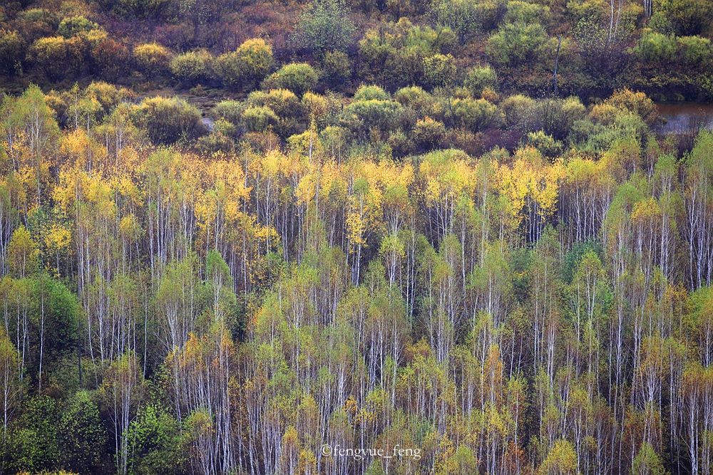 大兴安岭特大火灾澳洲火灾