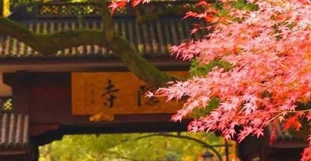 出发 | 金秋十月，这5个地方藏着中国最美的秋色！