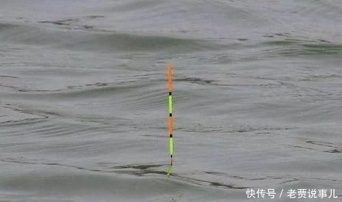  「野外水域」为何野钓没大鱼，不是大鱼没进窝，是开始调漂就出了问题