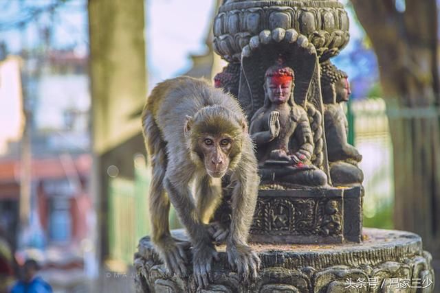 Namaste！尼泊尔！跟着萧秋水、杨小米开启心灵之旅