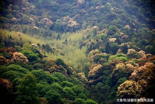 我国被人们“小看”的一座山,景色不亚于黄山,有99座山峰相连