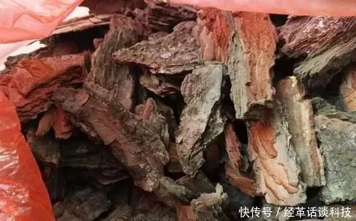 松树皮■没人要的小东西,可是养花宝贝,捡一点掺盆里,全年不用施肥