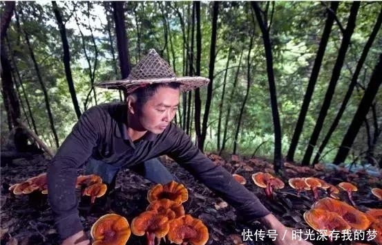 丽水有个隐藏在大山深处的世外桃源,带家人去走走吧