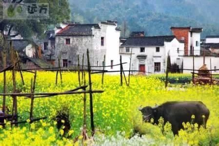  #新房#为什么很多人离开了农村，还要在老家盖一栋新房？