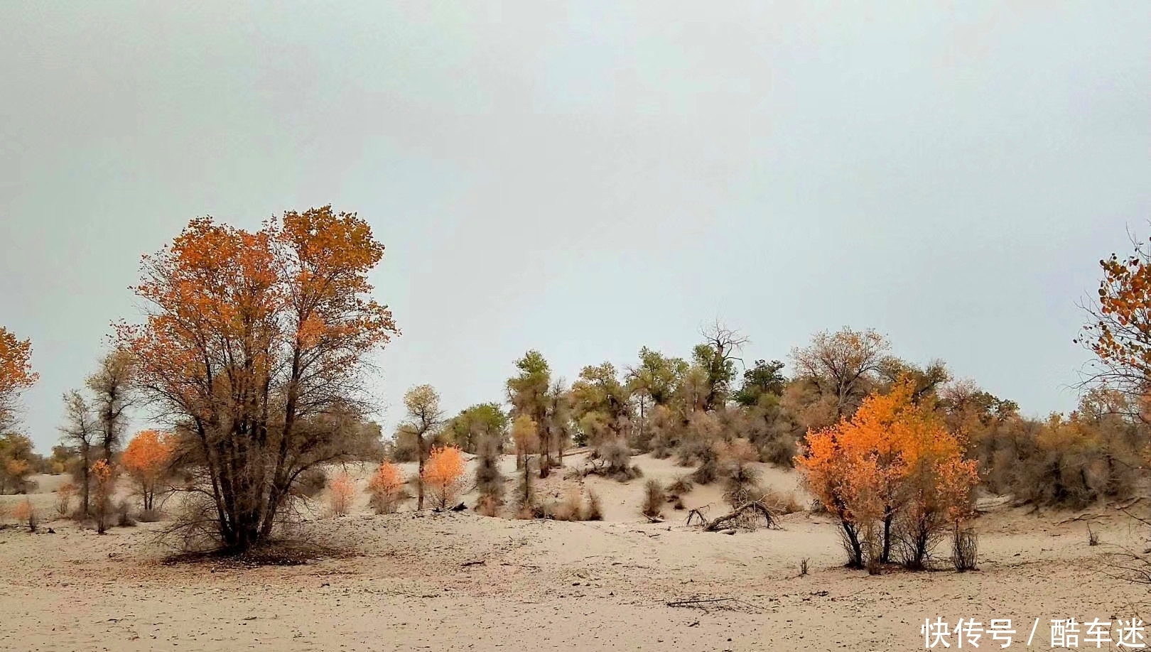 在330000平方公里的塔克拉玛干沙漠中,任裙飘扬,随风起舞