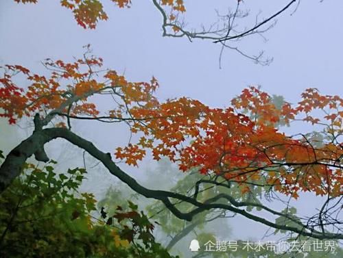 陕西安康的道教圣山，群峰叠障，因鬼谷子而出名，万壑竟秀似仙境