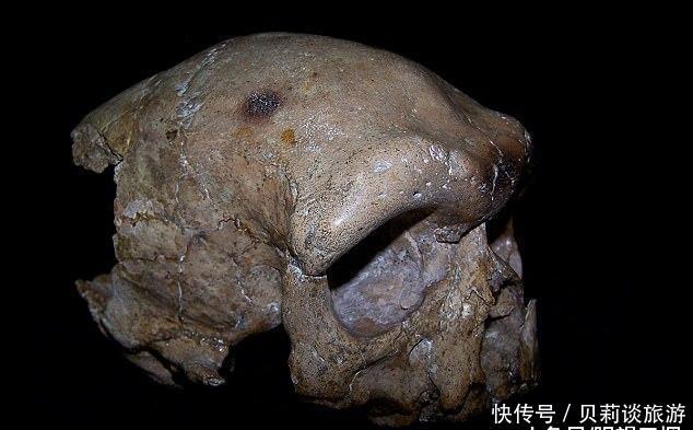 来自中国的一个26万年前的头骨将改写人类进化史