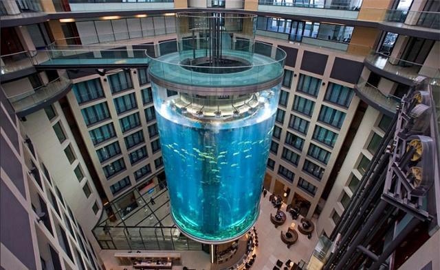 世界最大鱼缸,耗资1个亿每年吸引数十万游客,看过的人无不赞叹