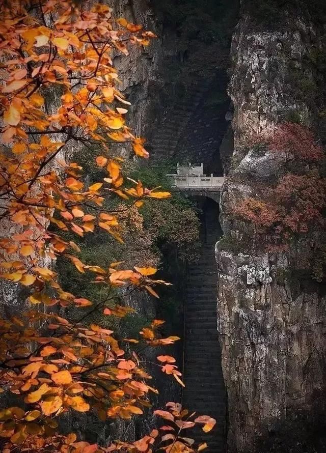 又到红叶烂漫时！河北这几个地方你绝对不能错过