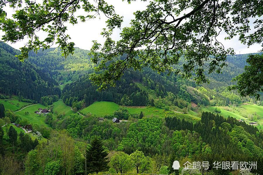  风景：德国最美自驾公路B500沿途风景
